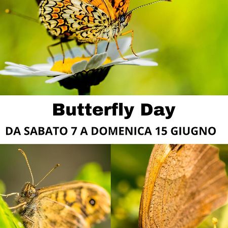 B&B Il Glicine Molare Cremolino Екстер'єр фото
