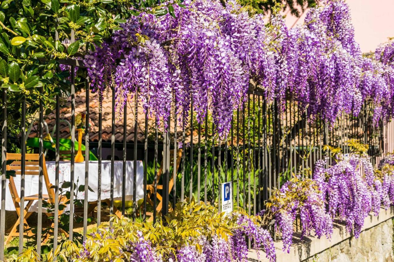 B&B Il Glicine Molare Cremolino Екстер'єр фото