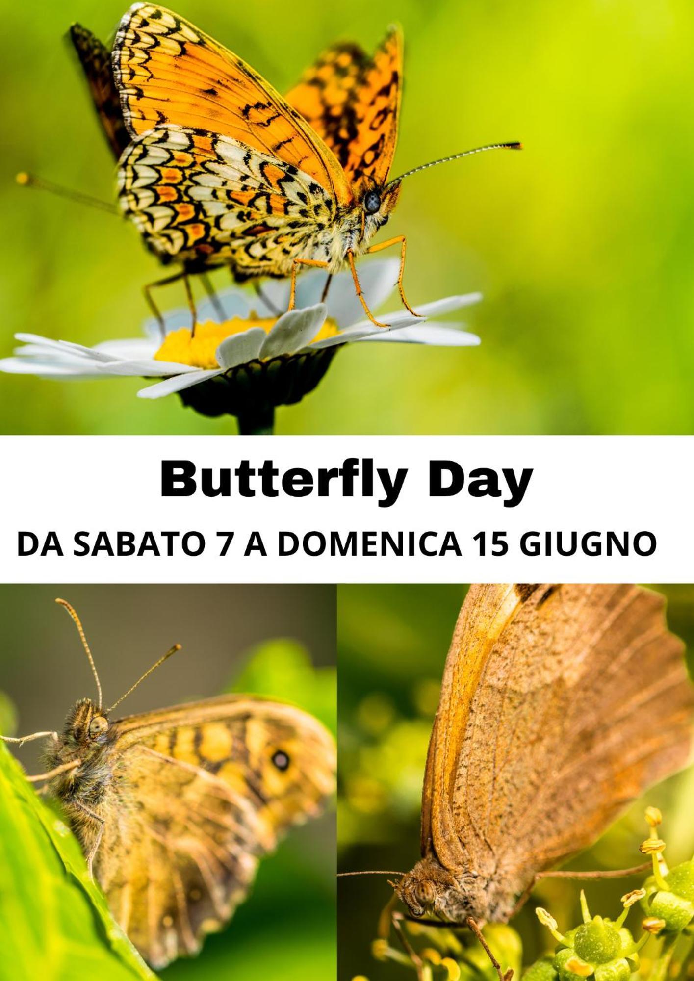 B&B Il Glicine Molare Cremolino Екстер'єр фото